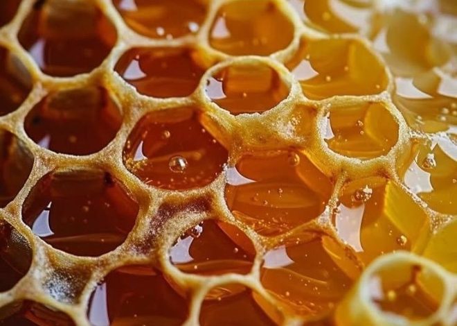 Elvish Honey: Madu Langka dengan Cita Rasa Eksklusif
