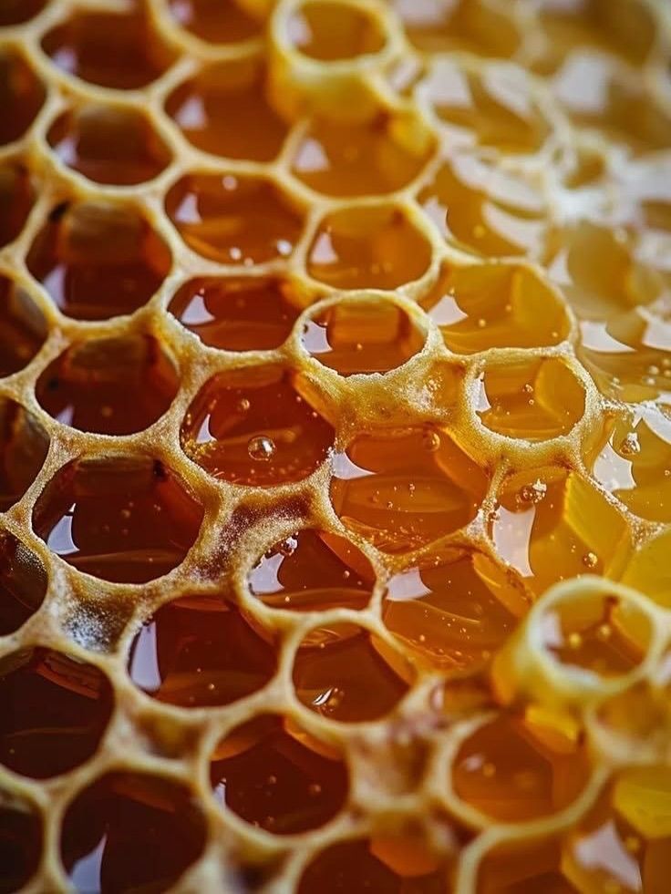 Elvish Honey: Madu Langka dengan Cita Rasa Eksklusif